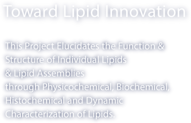 Toward Lipid Innovation This Project Elucidates the Function & Structure of Individual Lipids & Lipid Assemblies through Physicochemical, Biochemical, Histochemical and Dynamic Characterization of Lipids.