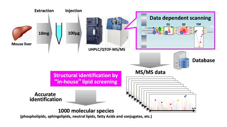 Development of non-target lipidomics platform