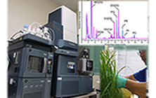 image of Comprehensive lipid analysis